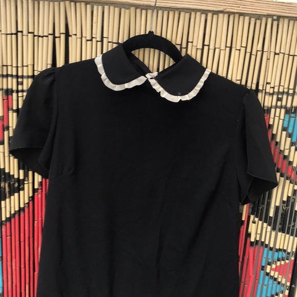 Peter Pan Collared Mini Dress With White Trim - Picture 2 of 7